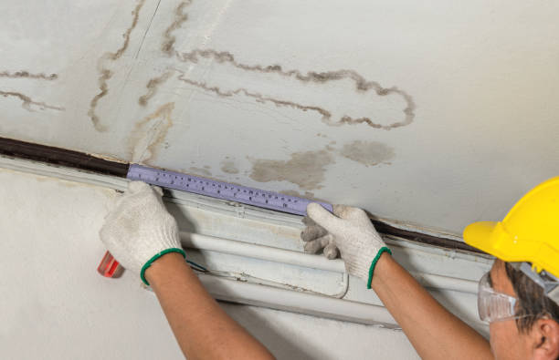 Reliable Sewage Cleanup contractor in Waterloo, OH by Water Damage Irwin